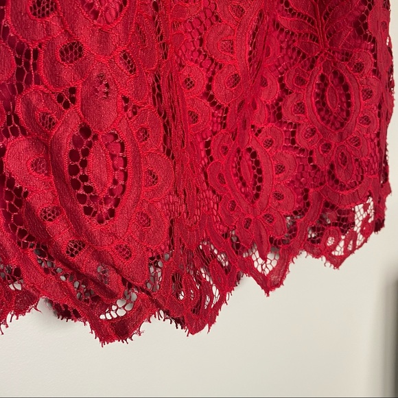 Lucy Paris // Fully-Lined Lace Dress - Picture 6 of 9